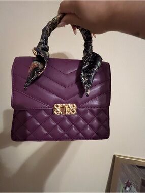 ALDO Women's Handbag in Deep Plum